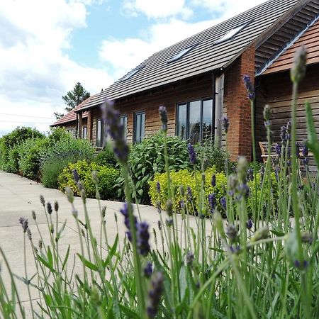 Elm Tree Farm Accommodation Milton Keynes Zewnętrze zdjęcie
