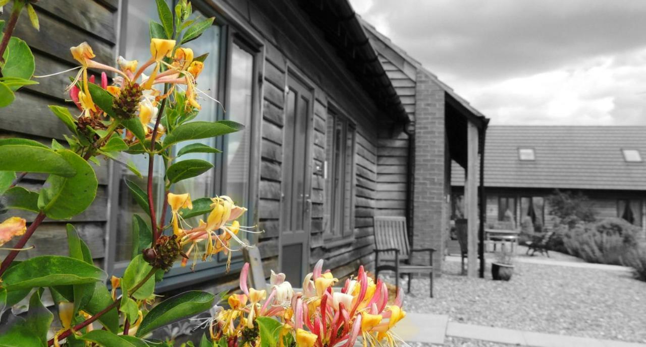 Elm Tree Farm Accommodation Milton Keynes Zewnętrze zdjęcie